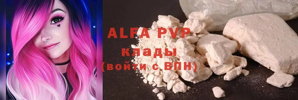 дурь Пересвет