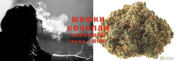 дурь Пересвет