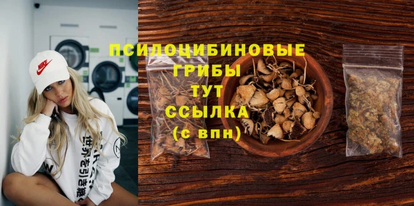 дурь Пересвет