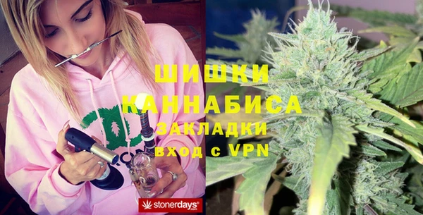 дживик Пестово