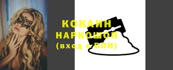 дживик Пестово