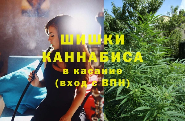 дурь Пересвет