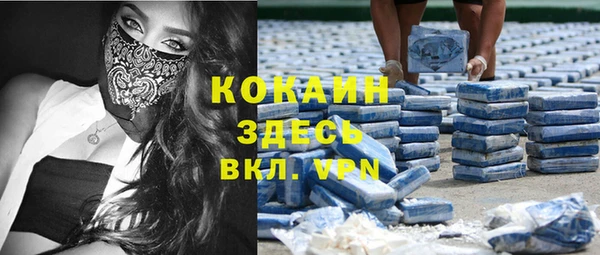 дживик Пестово