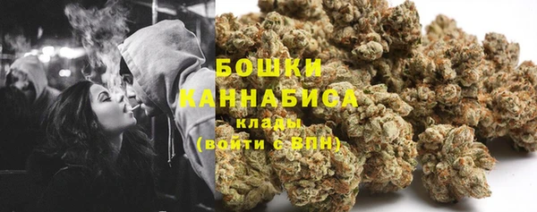 дурь Пересвет