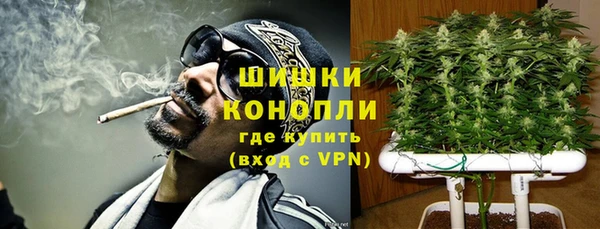 дурь Пересвет