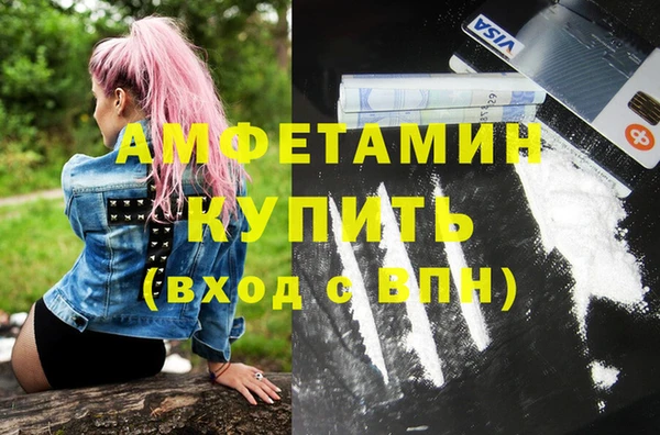 дживик Пестово