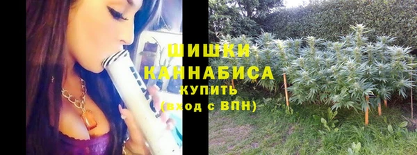 дживик Пестово
