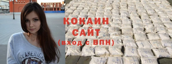 дурь Пересвет