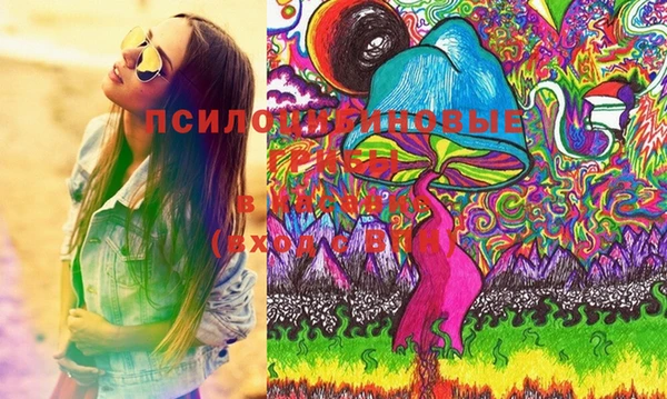 дживик Пестово