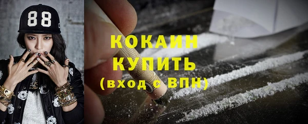 дурь Пересвет