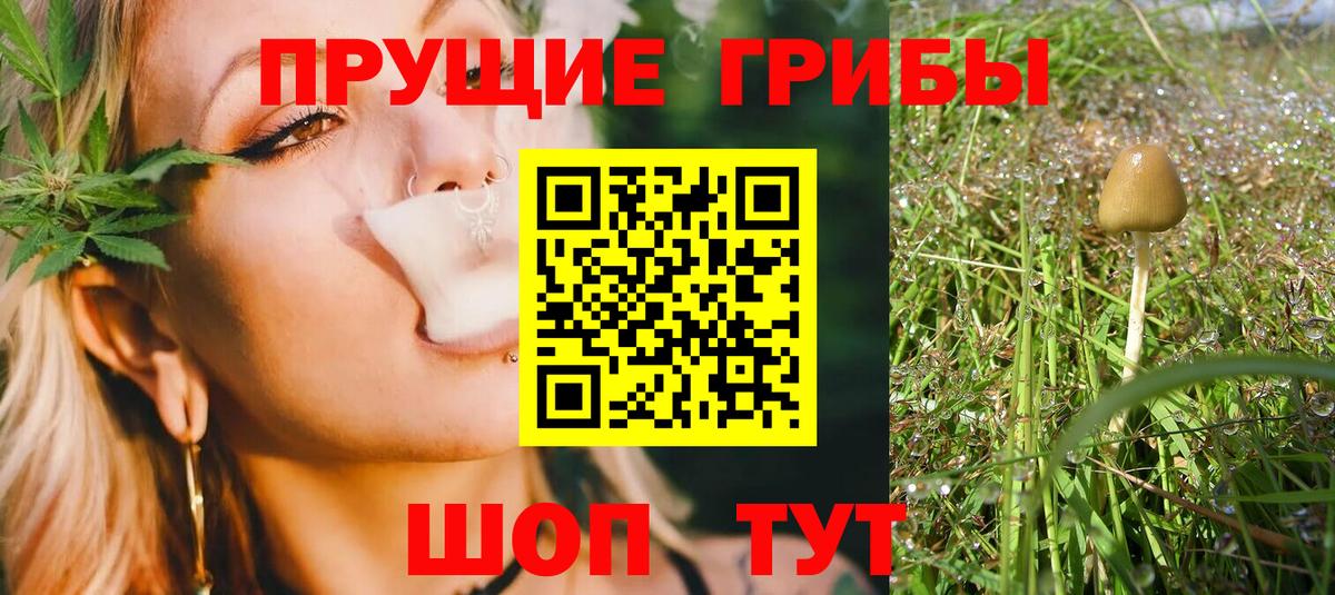 Псилоцибиновые грибы Magic Shrooms Красноперекопск