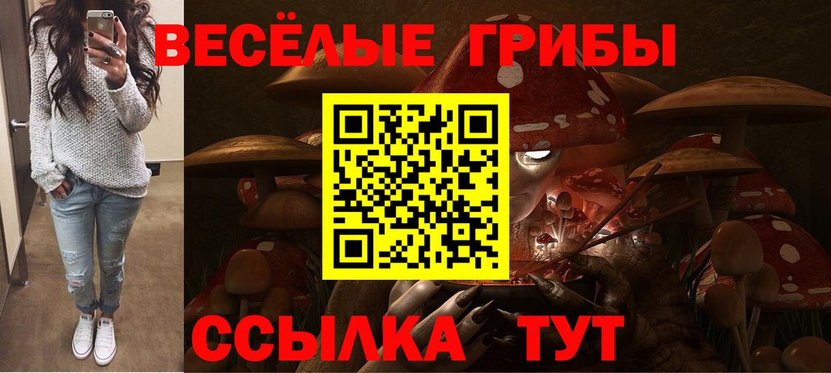 как найти наркотики  Вход с VPN  Красноперекопск  Псилоцибиновые грибы Cubensis 